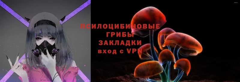 omg вход  Ливны  Псилоцибиновые грибы Magic Shrooms 